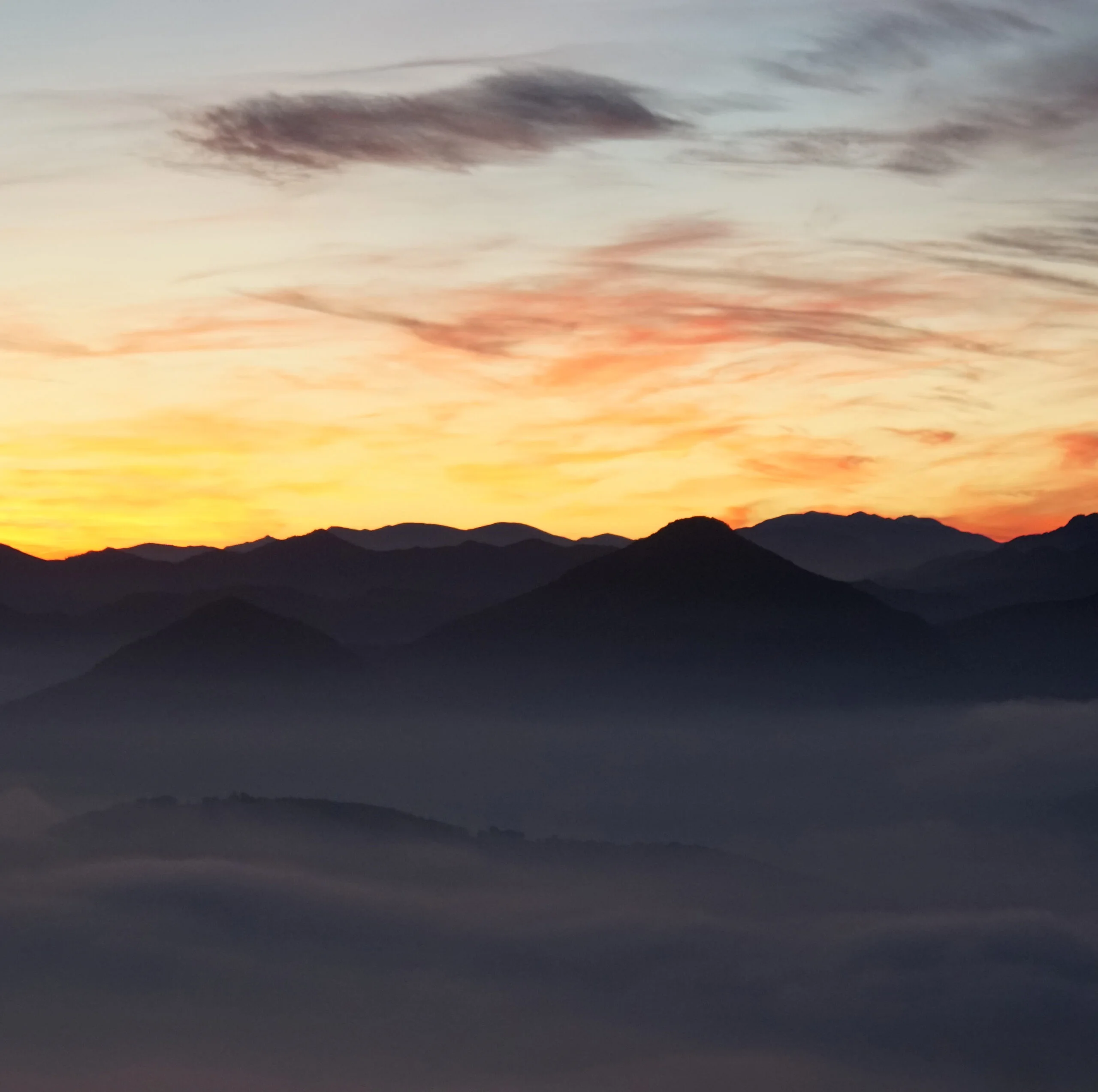 AMAVEN Unternehmensgeschichte - Von Amazon zur eigenen Agentur